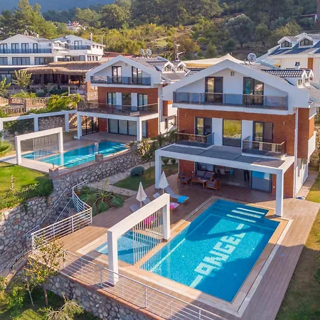 Celebrity E * Fethiye