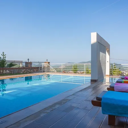 Celebrity E * Φετιγιέ