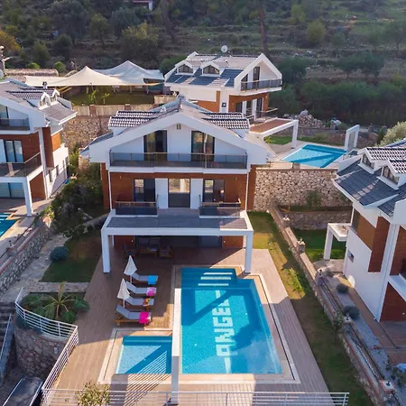 Celebrity E * 费特希耶