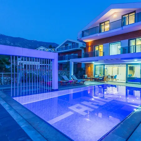 Celebrity E Villa